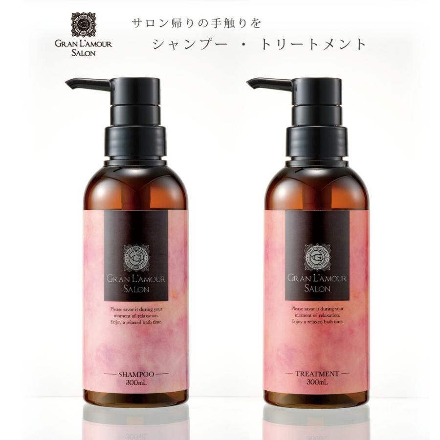 シャンプー 美容室トリートメント 美容院 ダメージケア 300ml 1本 ポンプ式 ボトル ヘアケア商品 集中補修 ノンシリコン いい匂い グラン ラ モーレ サロン Vgl Haircare 1 Fanmary ファンメアリー 通販 Yahoo ショッピング
