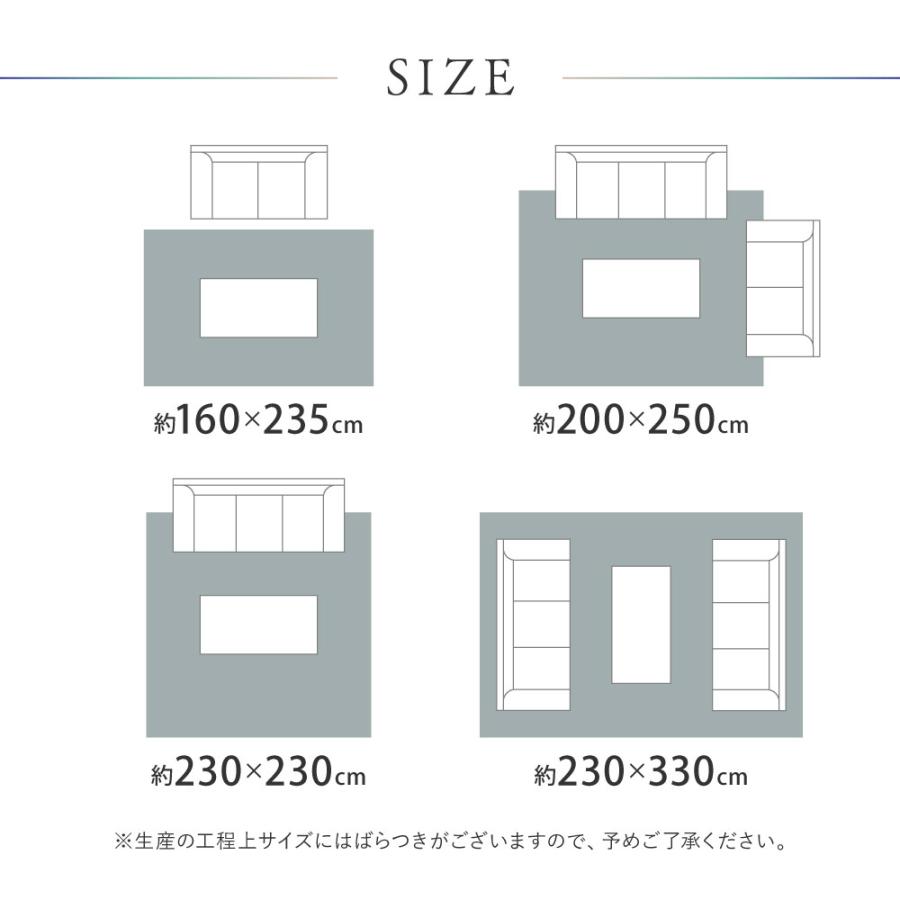 ラグ ウィルトン 厚手 クラシカル ペルシャ調 160×235cm 約 2.4畳 エジプト ホットカーペット 床暖 対応 デザイン おしゃれ 新生活爆買_9