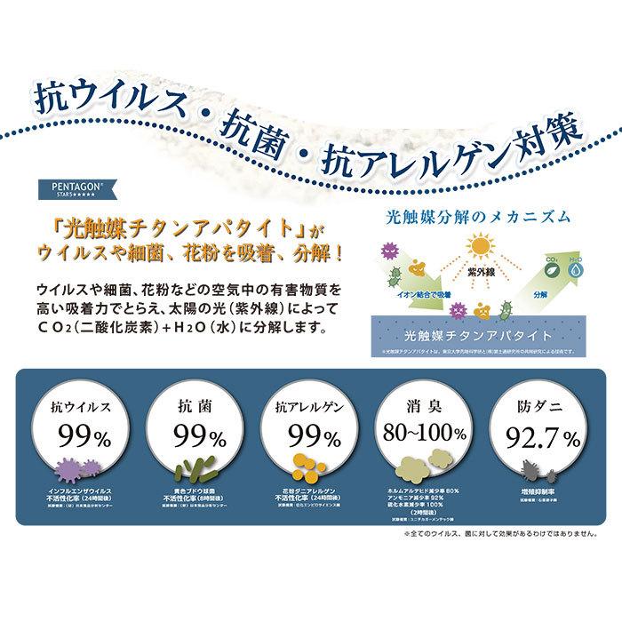 プレーベル ナイロンカーペット ジェミニ（130×190・190×190