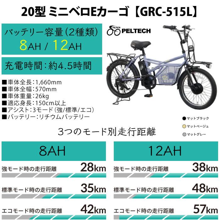 PELTECH（ペルテック） 【 100%完成納品 / 防犯登録付き / 即乗りOK