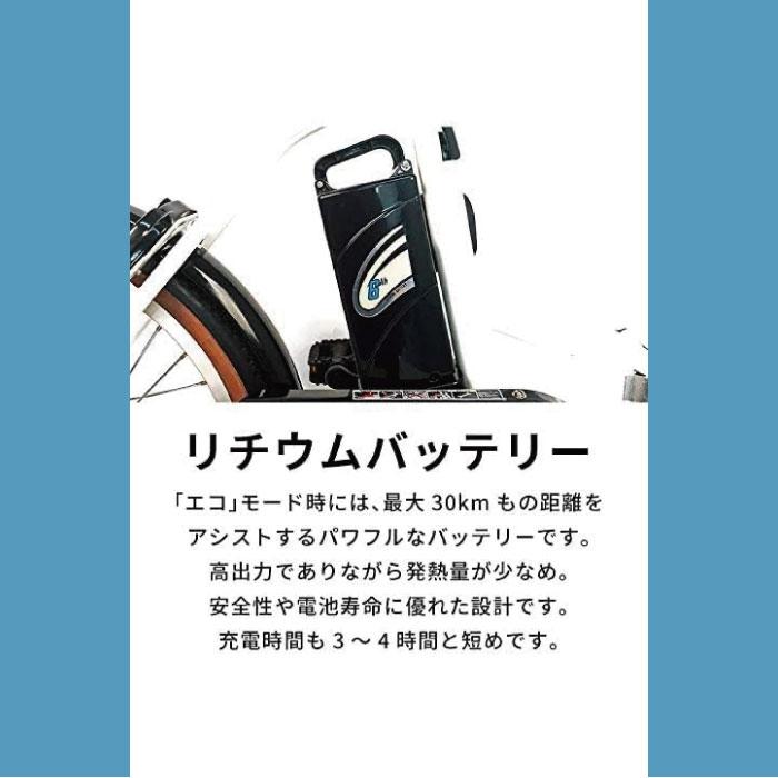 PELTECH（ペルテック） 【 100%完成納品 / 防犯登録付き / 即乗りOK