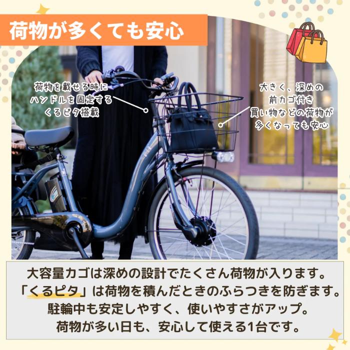 PELTECH（ペルテック） 防犯登録付き 完成納品 子供乗せ電動アシスト