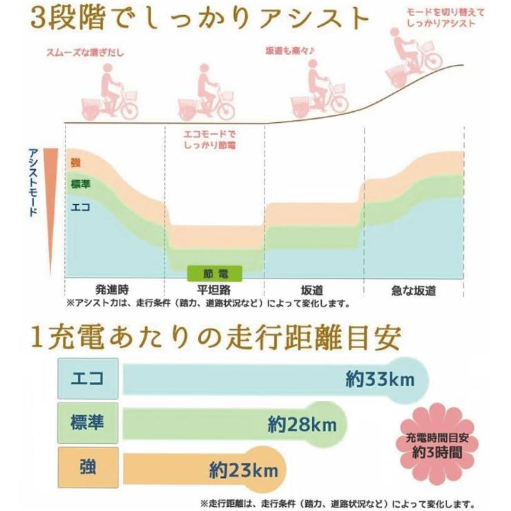 PELTECH（ペルテック） 防犯登録付き 完成納品 電動アシスト三輪自転車