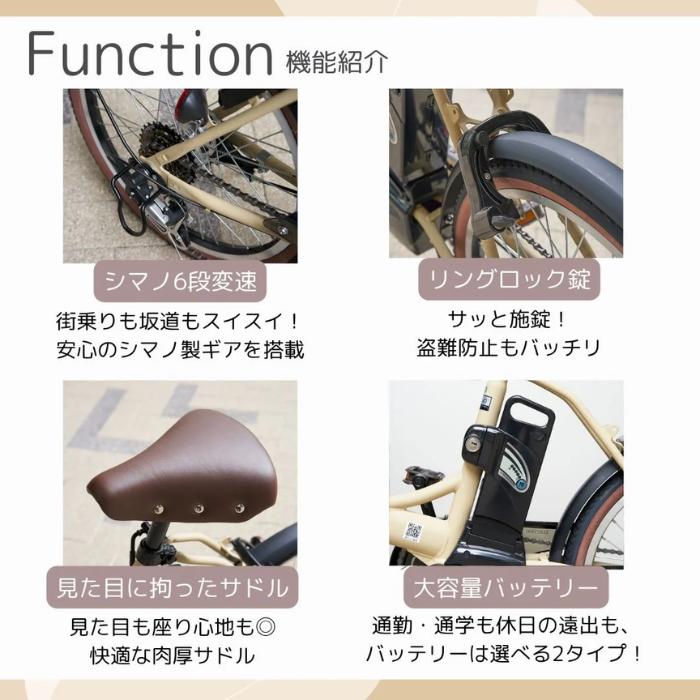 PELTECH（ペルテック） 防犯登録付き 限定モデル 電動アシスト