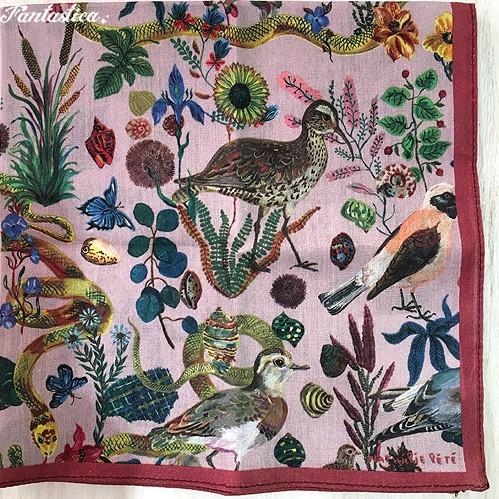 ナタリー レテ ハンカチ バーズ ネイチャー 花と野鳥のハンカチ Nl3 Fantasticaファンタスチカ雑貨店 通販 Yahoo ショッピング