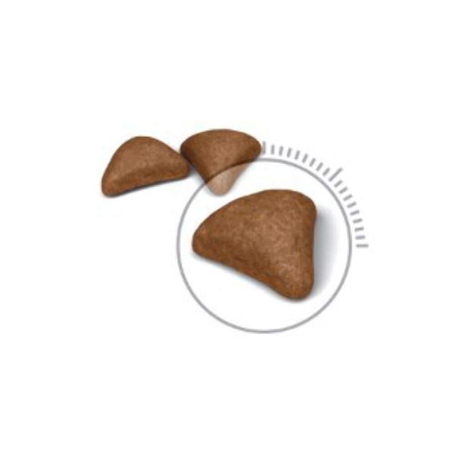 14個　ロイヤルカナン FCN ヘアボール ケア 毛玉が気になる成猫用 400g Amazon | ロイヤルカナン FCN ヘアボール ケア 毛玉が気になる成