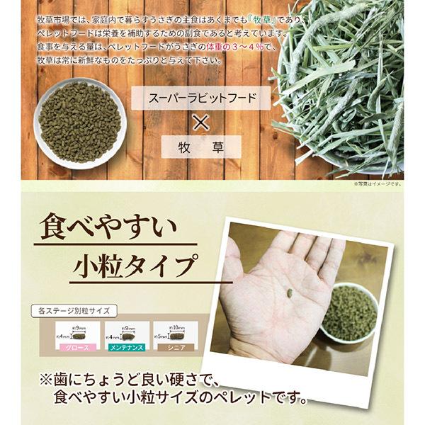 うさぎの餌　国産 牧草市場 スーパーラビットフード メンテナンス 1.2kg フード 生後7カ月以上 毛玉ケア コントロール | 牧草市場 | 03