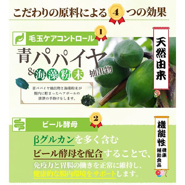 うさぎの餌　国産 牧草市場 スーパーラビットフード メンテナンス 1.2kg フード 生後7カ月以上 毛玉ケア コントロール | 牧草市場 | 04