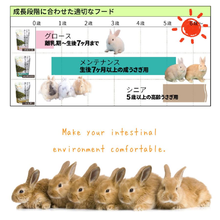 うさぎの餌　国産 牧草市場 スーパーラビットフード メンテナンス 1.2kg フード 生後7カ月以上 毛玉ケア コントロール | 牧草市場 | 06