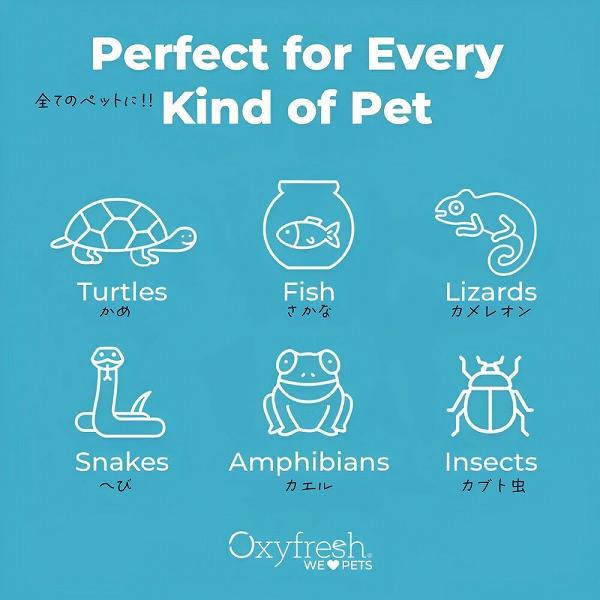 テラリウムクリーナー  473ml  Oxyfresh オキシフレッシュ 爬虫類 両生類 |  | 04