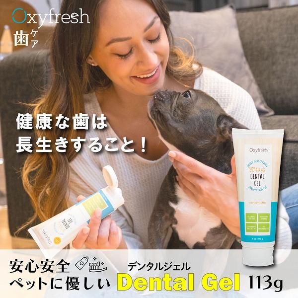 ペットデンタルジェル 113g Oxyfresh オキシフレッシュ 歯 歯磨き 犬 猫 |  | 01