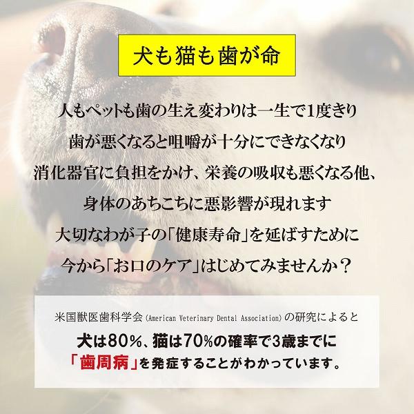 ペットデンタルジェル 113g Oxyfresh オキシフレッシュ 歯 歯磨き 犬 猫 |  | 03