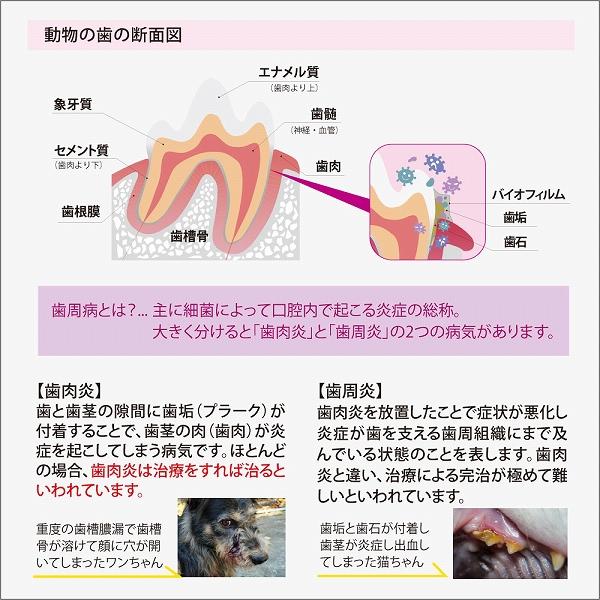 ペットデンタルジェル 113g Oxyfresh オキシフレッシュ 歯 歯磨き 犬 猫 |  | 04