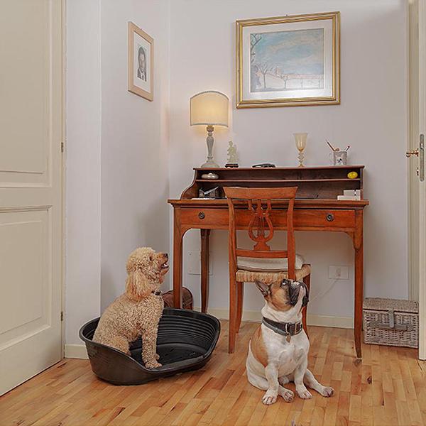 ferplast（ファープラスト） 犬 猫 ベッド 洗える シエスタ SIESTA DX