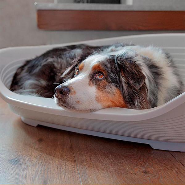 ferplast（ファープラスト） 犬 猫 ベッド 洗える シエスタ SIESTA DX