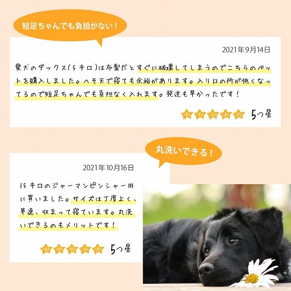 犬 猫 ベッド 洗える シエスタ SIESTA DX 12 ペット用 寝具 丈夫 頑丈 ペット壊れない 耐久性 オールシーズン イタリアferplast社 ファープラスト_14