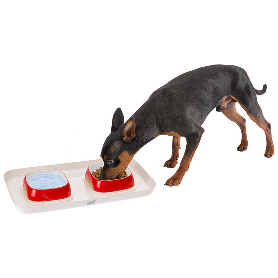 犬 猫 食器 グラム  トレーセット GLAM TRAY XS 餌入れ 水入れ フードボウル イタリアferplast製 | ferplast