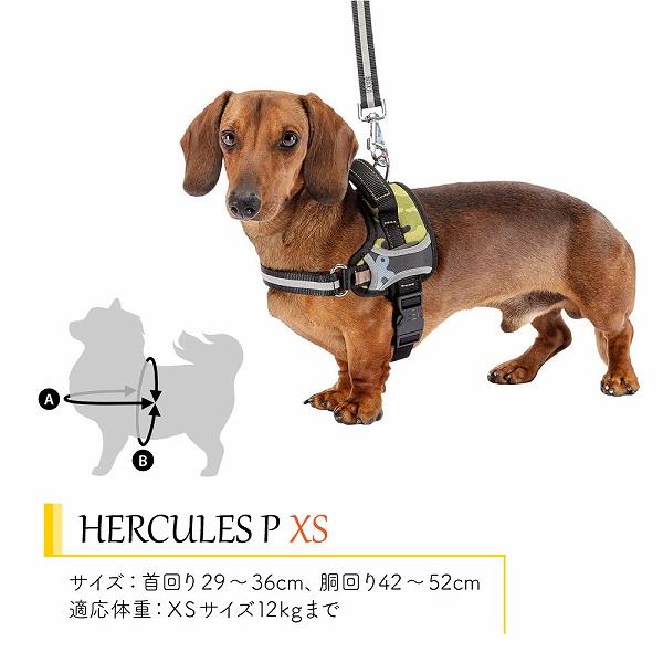 犬 ハーネス HERCULES P XS 適応体重12kgまで イタリアferplast社製 