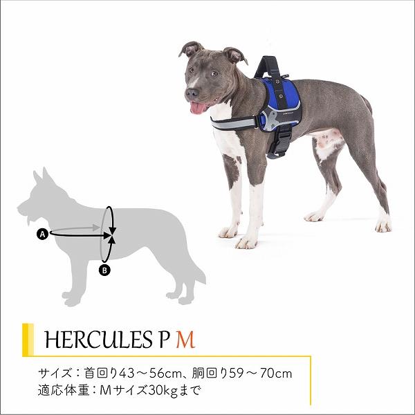 犬 ハーネス HERCULES P M 適応体重30kgまで イタリアferplast社製