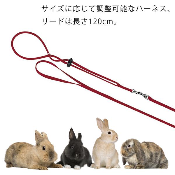 ファゴット用リード4本セット(うさぎ) ferplast（ファープラスト） うさぎ用 ハーネス リード セット NY RAB