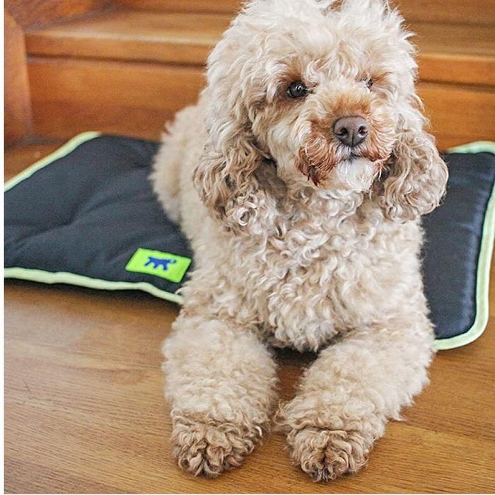 犬 クッション マット ジョリー 65 洗える  ベット 撥水加工 カーシート オールシーズン イタリアferplast社製 | ferplast