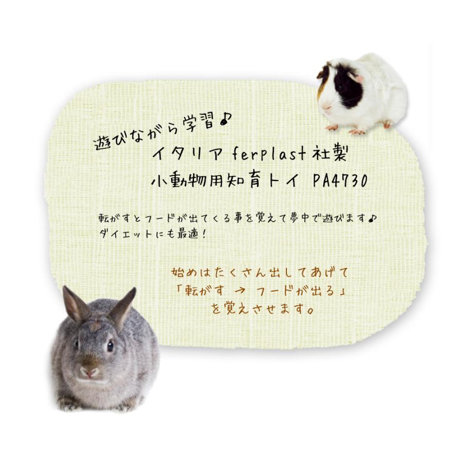 FANTASY WORLD（ファンタジーワールド） フェレット うさぎ モルモット