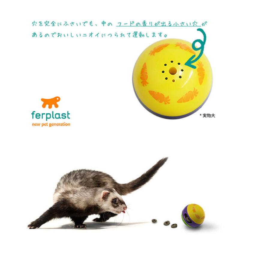 FANTASY WORLD（ファンタジーワールド） フェレット うさぎ モルモット