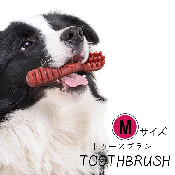 犬 おやつ ガムベジタリアン  トゥースブラシ M 歯みがき イタリアferplast社製 | ferplast