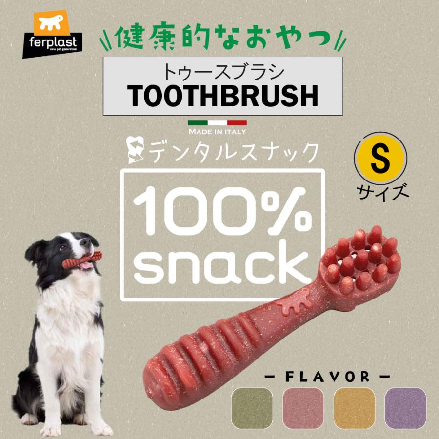 犬 おやつ ガムベジタリアン  トゥースブラシ M 歯みがき イタリアferplast社製 | ferplast | 01