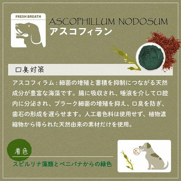 犬 おやつ ガムベジタリアン  トゥースブラシ M 歯みがき イタリアferplast社製 | ferplast | 04