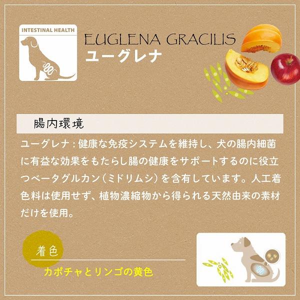 犬 おやつ ガムベジタリアン  トゥースブラシ M 歯みがき イタリアferplast社製 | ferplast | 06