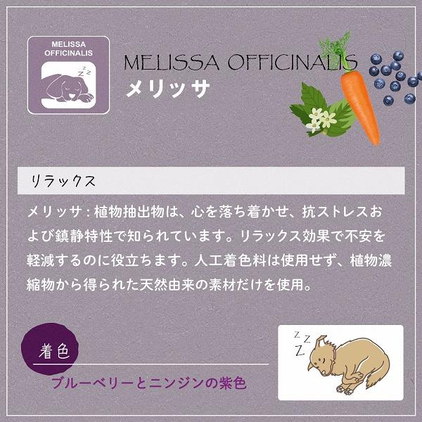 犬 おやつ ガムベジタリアン  トゥースブラシ M 歯みがき イタリアferplast社製 | ferplast | 07