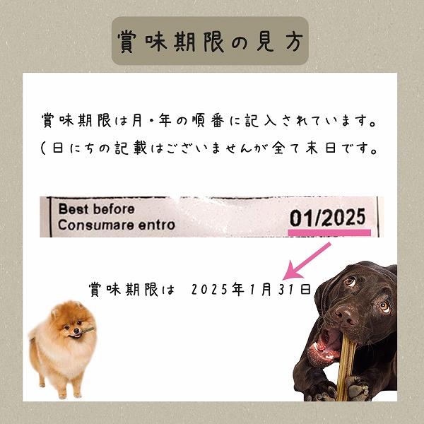 犬 おやつ ガムベジタリアン  トゥースブラシ M 歯みがき イタリアferplast社製 | ferplast | 09