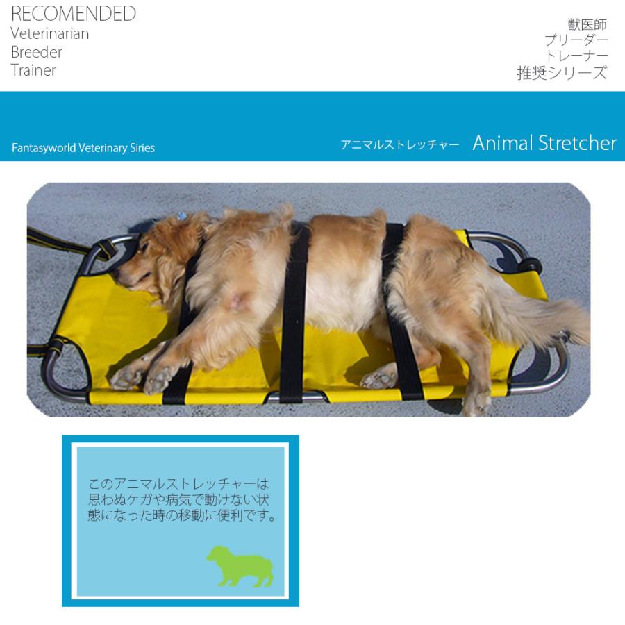【極美品】犬と猫の救急救命手技 Amazon.co.jp: NMN サプリ 犬 猫 ペット用 900mg ゴッドエイジ