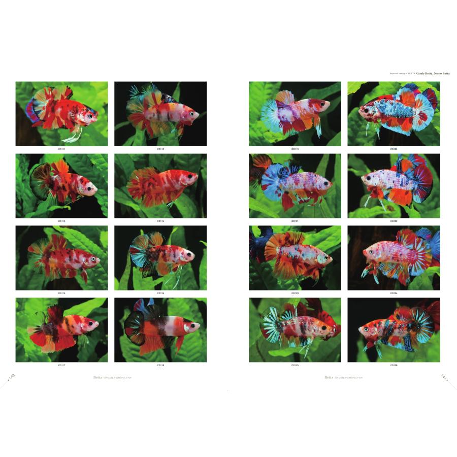 ベタ 熱帯魚 魚 本 写真集 さかなクンがこれはすギョいと大絶賛