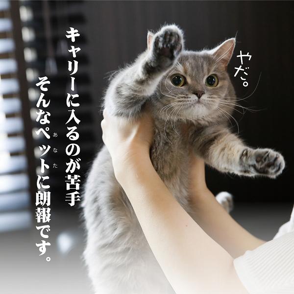 セール スライド式 マックス カームキャリー L  犬 猫 ペット用 キャリーケース ハードタイプ 適応体重16kgまで | FANTASY WORLD | 02