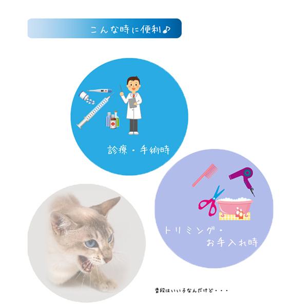 FANTASY WORLD（ファンタジーワールド） 猫 マズル 口輪 キャット