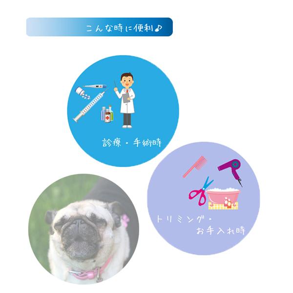 犬 マズル 口輪 パグ シーズーなどの短吻種用 無駄吠え防止口輪 ショートノーズマズル ｍ Dsn 2 Fantasy World 通販 Yahoo ショッピング