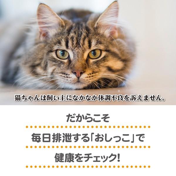 猫 砂 トイレ HEALTH INDICATOR ヘルスインディケーター 200ｇ 健康チェック おしっこでｐHチェック  月に１度、愛猫の健康チェック！　脱臭剤｜fantasyworld｜04