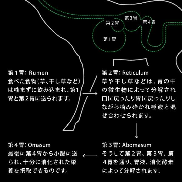ナチュラル エアードライ トリーツ 選べる3種類 100ｇ ニュートライプ 犬 おやつ | NUTRIPE | 04