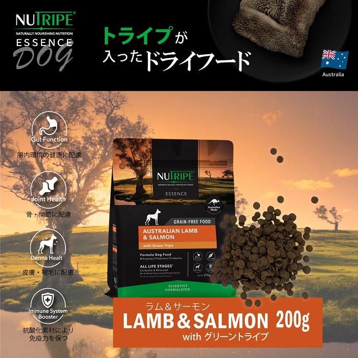 賞味期限26/11/30ドックフード ドライ エッセンス ラム＆サーモン＆グリーントライプ 200g ニュートライプ 全年齢用 総合栄養食 犬 | NUTRIPE | 01