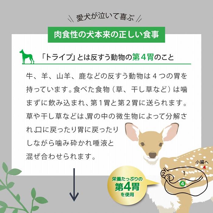 賞味期限26/11/30ドックフード ドライ エッセンス ラム＆サーモン＆グリーントライプ 200g ニュートライプ 全年齢用 総合栄養食 犬 | NUTRIPE | 05