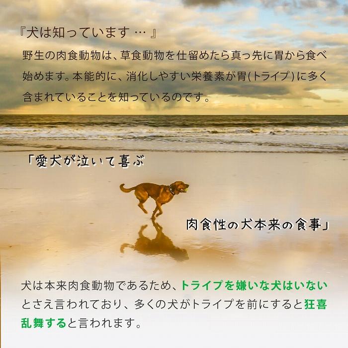賞味期限26/11/30ドックフード ドライ エッセンス ラム＆サーモン＆グリーントライプ 200g ニュートライプ 全年齢用 総合栄養食 犬 | NUTRIPE | 08