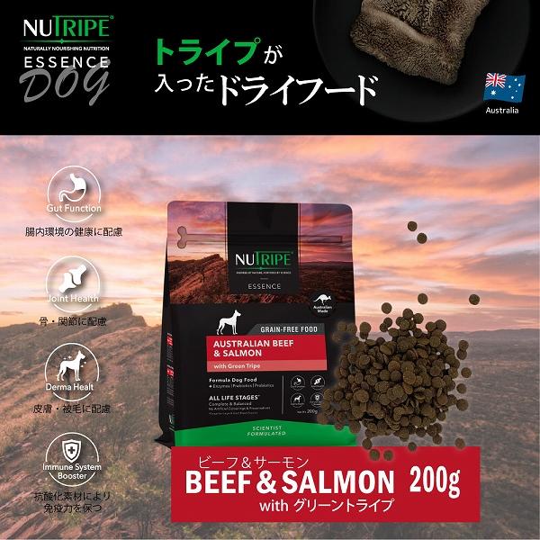 賞味期限26/11/30 ドックフード ドライ エッセンス ビーフ＆サーモン＆グリーントライプ 200g ニュートライプ 全年齢用 総合栄養食 犬 | NUTRIPE | 01