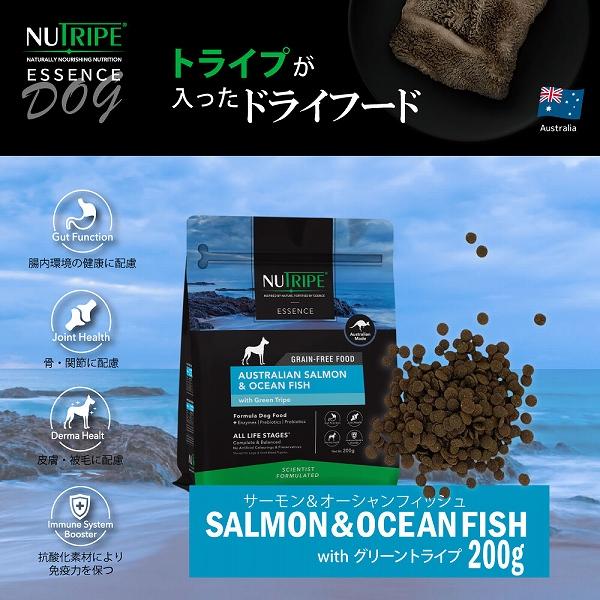 賞味期限26/11/30 ドックフード ドライ エッセンス サーモン＆フィッシュ＆グリーントライプ 200g ニュートライプ 全年齢用 総合栄養食 犬 | NUTRIPE | 01