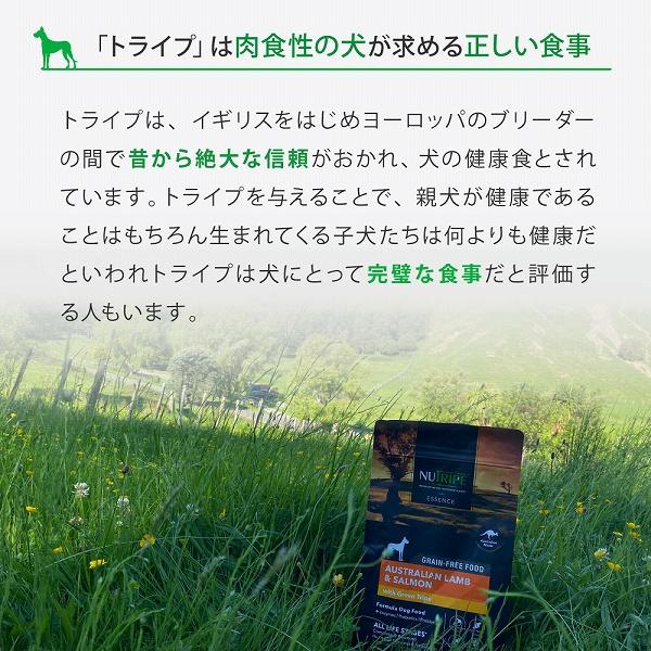 賞味期限26/11/30 ドックフード ドライ エッセンス ポーク＆グリーントライプ 1.8kg ニュートライプ 全年齢用 総合栄養食 犬 | NUTRIPE | 07