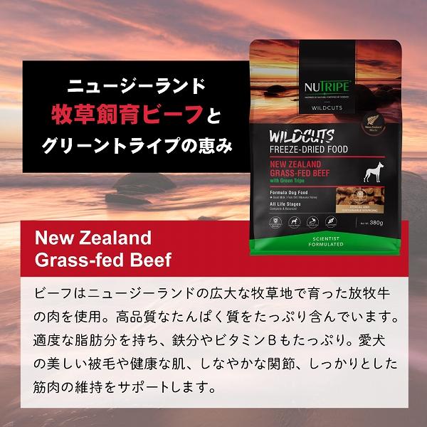 ドッグフード 犬 ワイルドカット フリーズドライ 選べる3種類 380ｇ 総合栄養食 ニュートライプ | NUTRIPE | 12