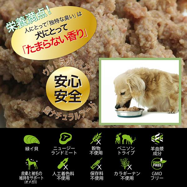 子犬用 ドッグフード NUTRIPE JUNIOR ニュートライプ ジュニア チキン