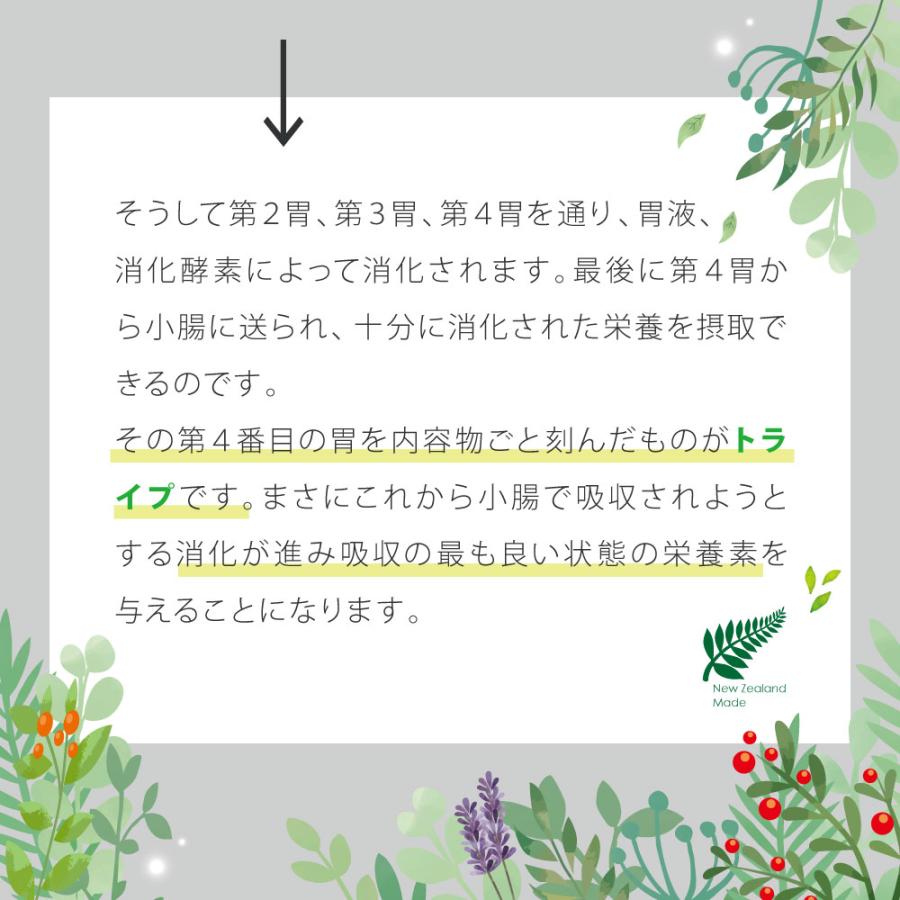 ドッグフード ウェット ビーフ＆グリーントライプ 185g NUTRIPE PURE ニュートライプ ピュア 全年齢用 犬 総合栄養食 | NUTRIPE | 07