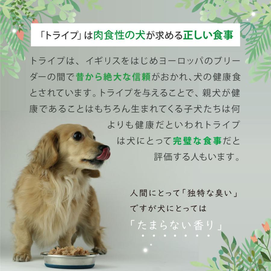 ドッグフード ウェット ラム＆グリーントライプ 185g NUTRIPE PURE ニュートライプ ピュア 全年齢用 犬 総合栄養食 | NUTRIPE | 08